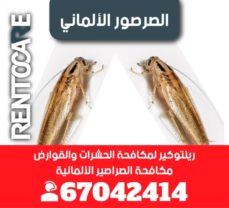 الصرصور الألماني