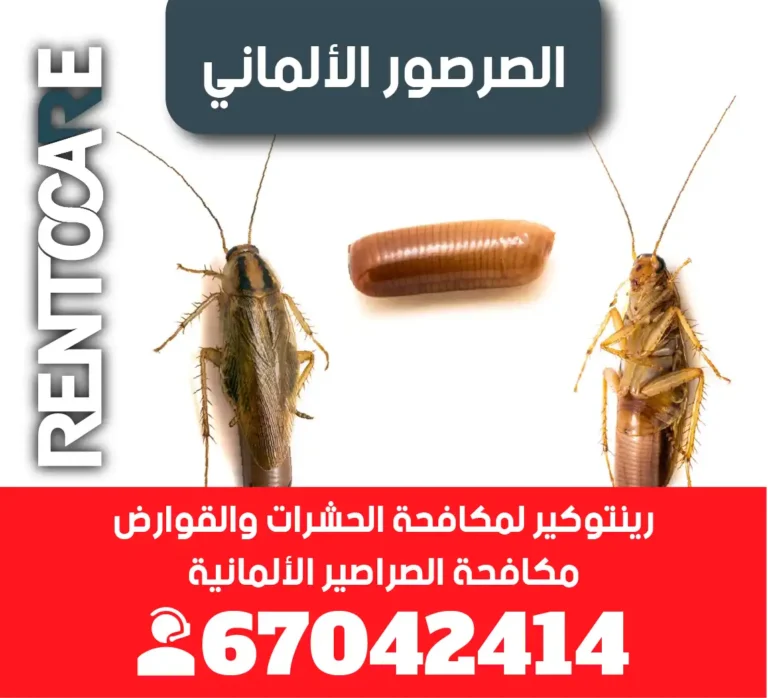 الصرصور الألماني