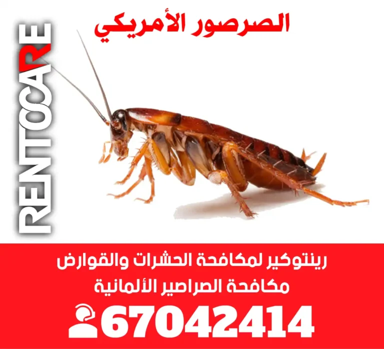 تعرف علي الصرصور الأمريكي