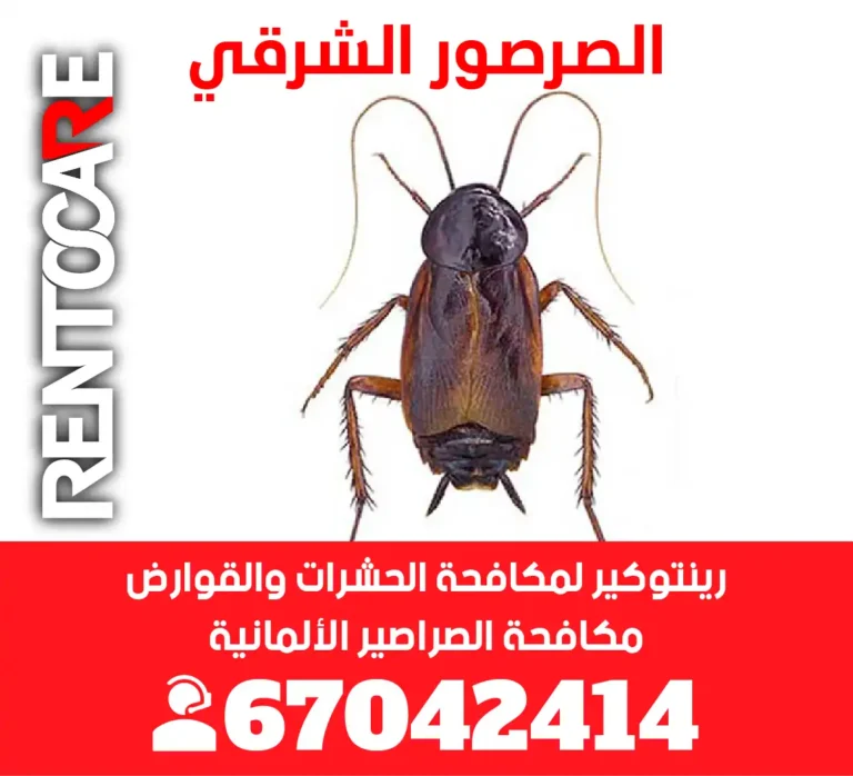 الصرصور الشرقي الدليل الكامل